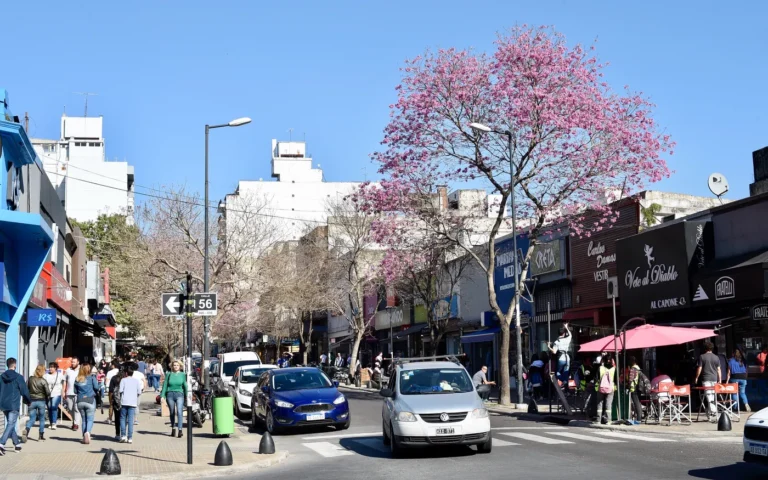 Cierre de comercios en La Plata